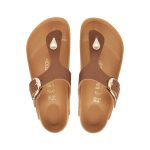 Gizeh Big Buckle Cognac Oiled Leather